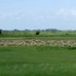 Baie de Somme, de A à C...