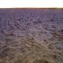 Baie de Somme, de D à H