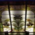 Art nouveau, chez Mollard