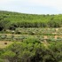La Combe des Bourguignons