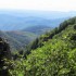 Le massif de l'Aigoual