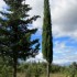 Le Clos de Gaillard