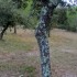 Le Clos de Gaillard