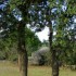 Le Clos de Gaillard