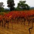 Couleurs d'automne