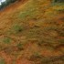 Couleurs d'automne