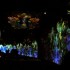 Les carrières de lumière