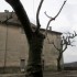 sauve (suite)