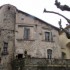 sauve (suite)