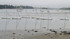 Ile Tudy