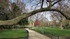 Paris: du parc Monceau aux Bat