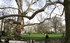 Paris: du parc Monceau aux Bat