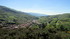 Haut-Languedoc (1)