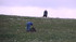 Aubrac (1)