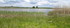 Aubrac (2)