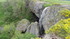Aubrac (2)