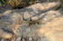 Belle-ile (4)