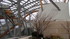 Paris, Fondation Louis Vuitton