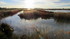 Camargue (suite)