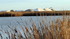 Camargue (suite)