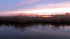 Camargue (suite)