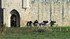 Aigues-Mortes