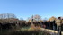 aujourd'hui 11 janvier 2015