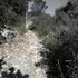 Rando-poche dans le bois des L