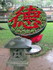Vietnam - Hanoi (4)