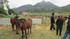 Vietnam, nord-ouest (2)