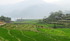 Vietnam, nord-ouest (6)