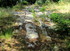 De Fontvieille à Saint Gabrie