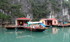 Vietnam, baie d'Along (suite e