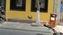 Vietnam, centre: My Son (fin)