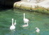 Lombardie 1 Un tout petit séj