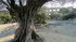 Le Pont du Gard