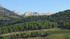 Les Dentelles de Montmirail