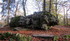 Fontainebleau, la forêt