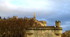 Sur le pont d'Avignon...