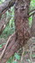 Sanilhac