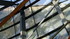 La Fondation Vuitton, jardin d