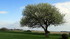 La Baie de Somme