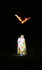 Feux gaulois!