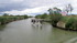 En Camargue