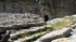Montmajour (1)