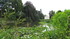 Parc de Bagatelle