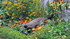 Parc de Bagatelle (suite)