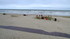 Le Touquet Paris-Plage