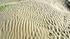 Le Touquet Paris-Plage