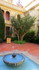 Perpignan, suite